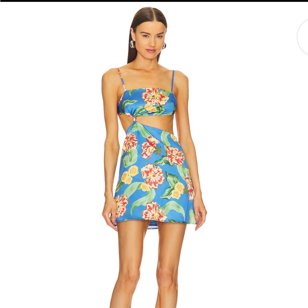 More to Come, Aminah Mini Dress, Blue Floral